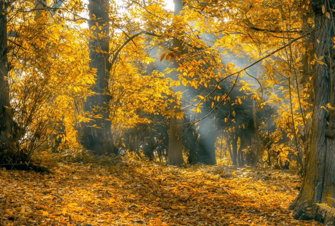Tutti i colori dell'autunno ad Aprica, da scoprire passo dopo passo